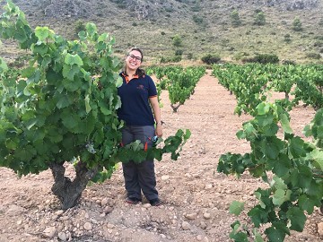 Jumilla Weintour mit einer Auswahl von 15 Bodegas - Van Dam Estates