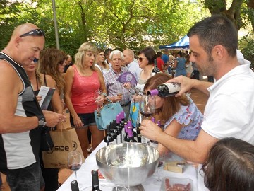 Jumilla wine tour with a choice of 15 bodegas - Van Dam Estates