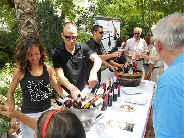 Jumilla wijn tour met keus uit 15 bodega's - Van Dam Estates