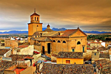 Tour del vino de Jumilla con una selección de 15 bodegas - Van Dam Estates