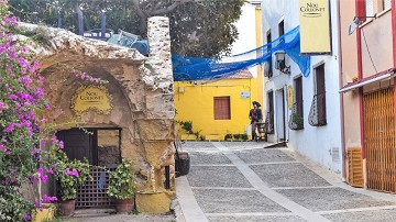 De tijd stond stil op Tabarca eiland - Van Dam Estates