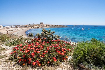 De tijd stond stil op Tabarca eiland - Van Dam Estates