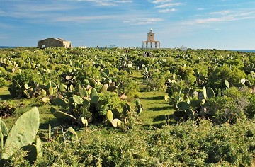 Time stood still on Tabarca Island - Van Dam Estates