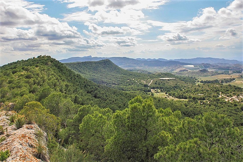 Walking in the hills behind the costas - Van Dam Estates