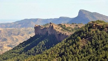 Walking in the hills behind the costas - Van Dam Estates