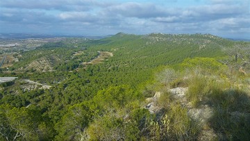 Walking in the hills behind the costas - Van Dam Estates