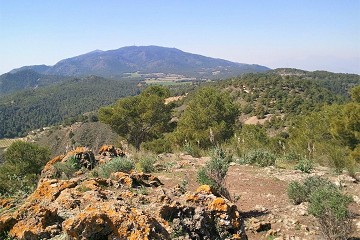 Walking in the hills behind the costas - Van Dam Estates