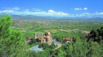 Caminando por las colinas detrás de las costas - Van Dam Estates