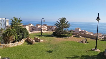 El sueco estuvo en la cuna del turismo de Torrevieja - Van Dam Estates