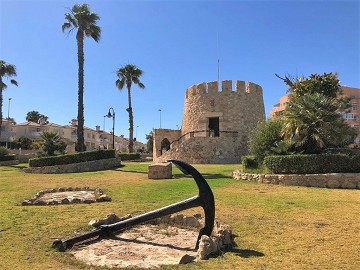 Der Schwede war an der Wiege des Tourismus in Torrevieja - Van Dam Estates