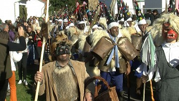 Seltsame Partys 5: Bärenjagd in grotesken Anzügen - Van Dam Estates