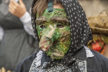 Vreemde feesten 5: Berenjacht in potsierlijke pakken - Van Dam Estates