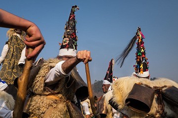 Vreemde feesten 5: Berenjacht in potsierlijke pakken - Van Dam Estates