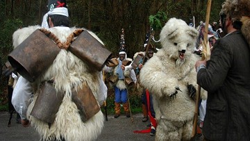 Strange parties 5: Bear hunting in grotesque suits - Van Dam Estates