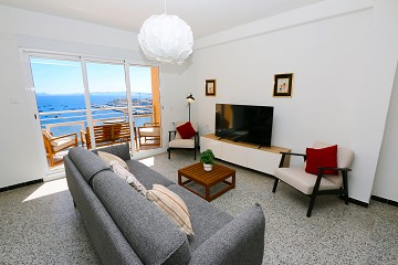 First Line in Lo Pagán - Van Dam Estates