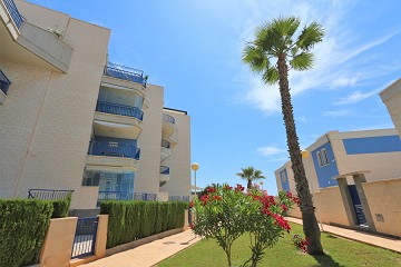 2nd Floor apartment with sea view in Cabo Roig ?> - Van Dam Estates